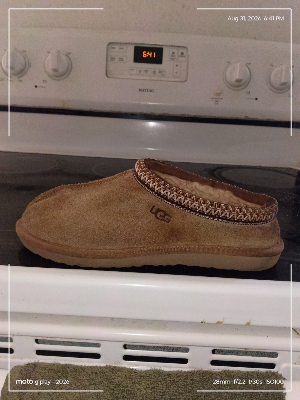 UGG Chestnut Suede Slip-On Shearling-Lined Mule